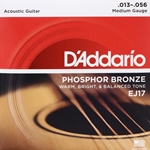 D'addario Phos Bronze (13-56)