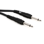Planet Waves Inst Cable — 10 ft
