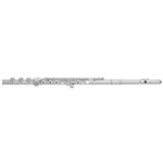 Di Zhao 501BOF Flute Outfit