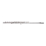 Trevor James PFHROSLR Flute Outfit