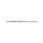 Haynes Q2 Flute Outfit