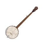 Fender PB180E Banjo