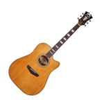 D'Angelico DAPD500VNATAPS–Vint. Natural