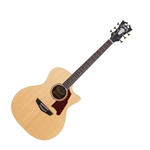 D'Angelico DAPG200NATAP–Natural