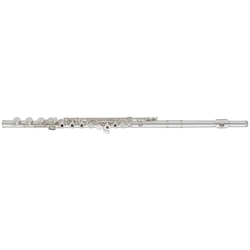 Yamaha YFL462H Flute Outfit