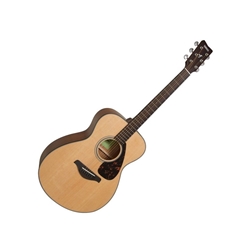 FS800 Small Body Acoustic Guitar—Solid Top