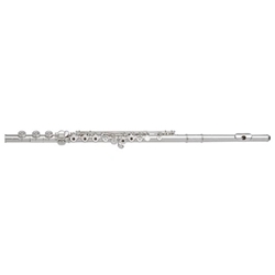 Di Zhao 501BOF Flute Outfit