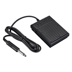 Foot Switch Style Sustain Pedal
