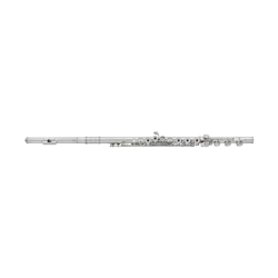 Amadeus AF780BO Flute Outfit