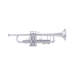 Bach AE190S Eb Trumpet Outfit