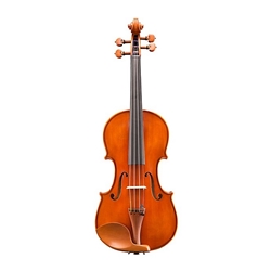 Eastman VL200 Violin Outfit