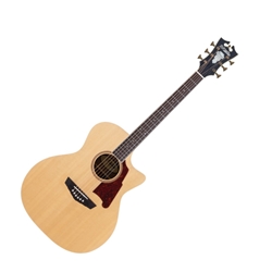 D'Angelico DAPG200NATAP–Natural