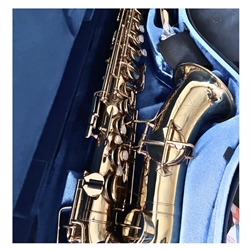 Martin Low Pitch Alto Saxophone c. 1928 w/ NEW Case